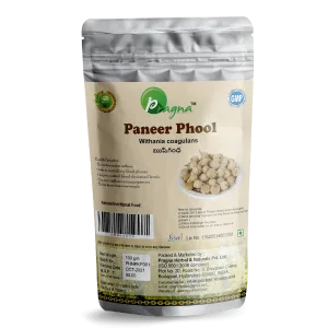 Pragna's Paneer Phool 100 gm