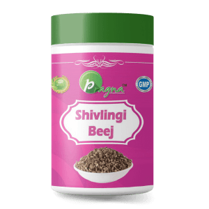 Pragna's Shivling Beej Seeds 100 gm