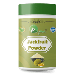 Pragna's Jack Fruit Powder