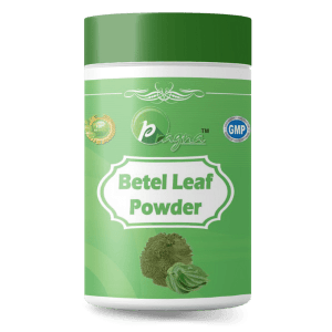 Pragna's Betel Leaf Powder