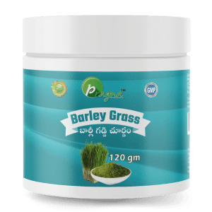 Pragna's Barley Grass Powder 120 gm