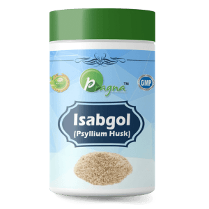 Pragna's Isabgol 100 gm