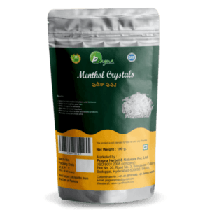 Pragna's Menthol (Pudina puvvu) (20 gm)